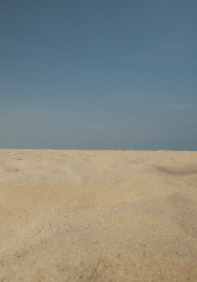 article-la-plage-longchamp-phuket