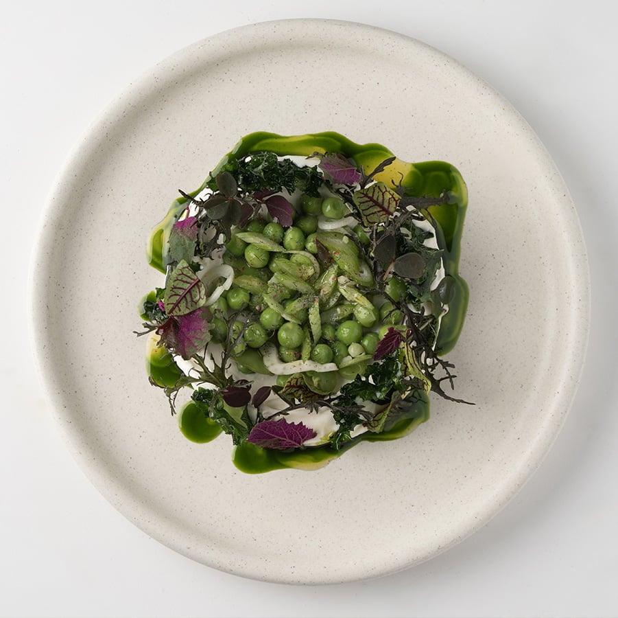 mx-vivre-au-vert-diner-by-chefs-navarro-hernandez