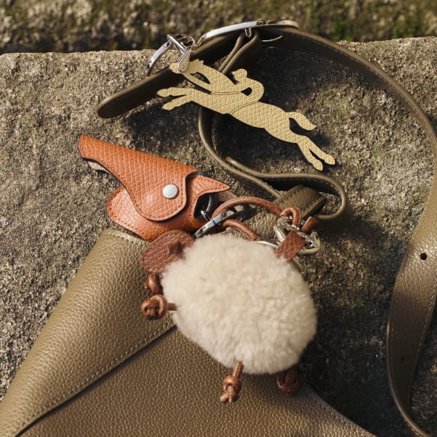 accessories-longchamp